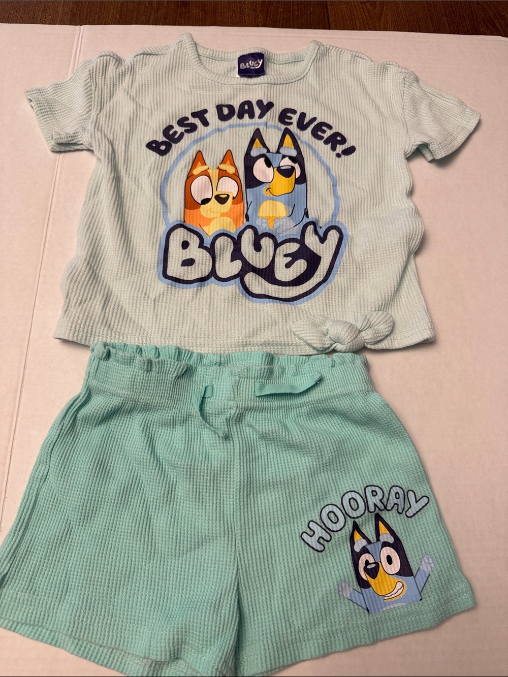 Bluey 'Best Day Ever' Tee & Shorts Set - Light Aqua Size 4T